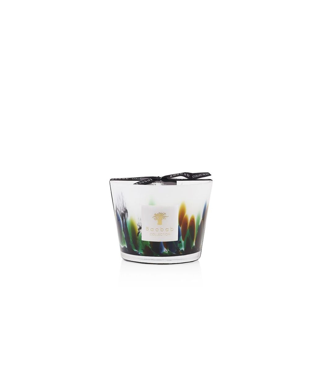 BOUGIE PARFUMÉE RAINFOREST AMAZONIA