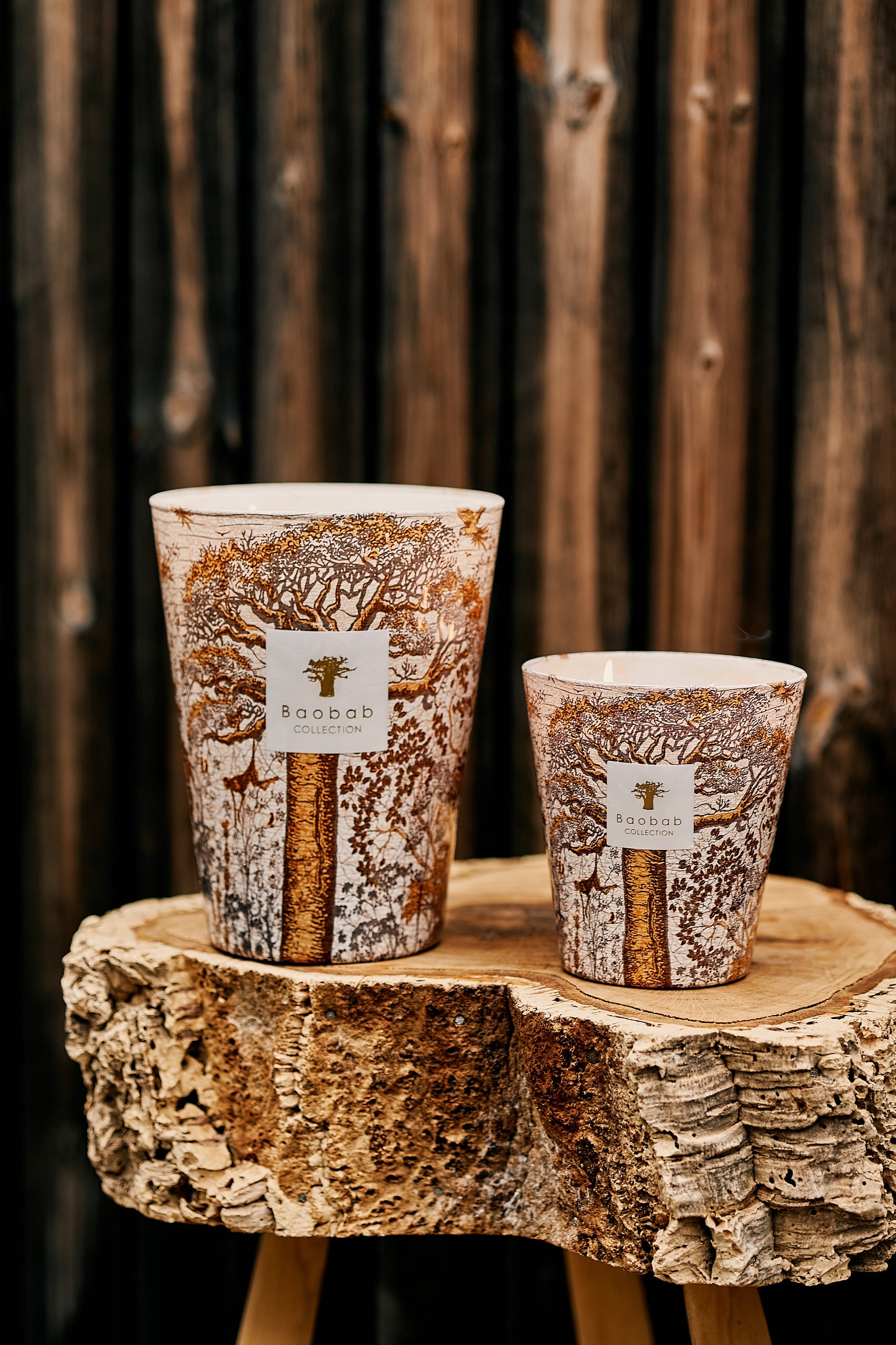 BOUGIE PARFUMÉE SACRED TREES DUALLA